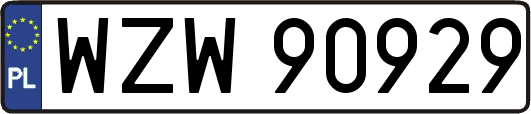 WZW90929