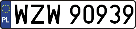 WZW90939