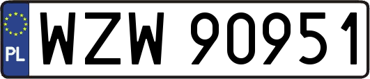 WZW90951