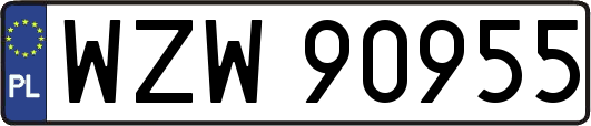 WZW90955