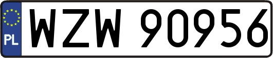 WZW90956