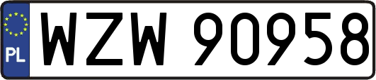 WZW90958