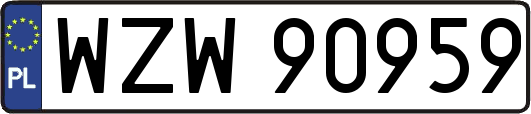 WZW90959