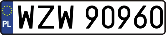 WZW90960