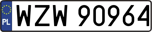 WZW90964