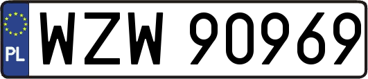 WZW90969