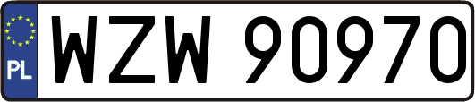 WZW90970