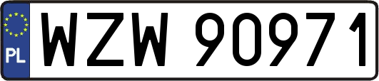WZW90971