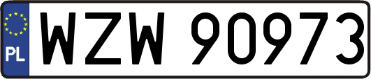 WZW90973