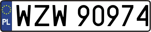 WZW90974