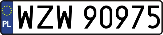 WZW90975