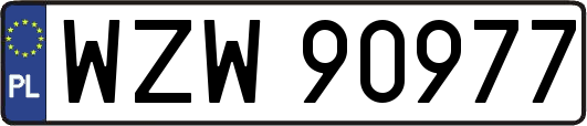WZW90977