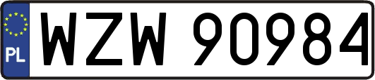 WZW90984