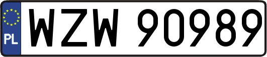 WZW90989