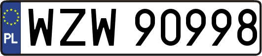 WZW90998