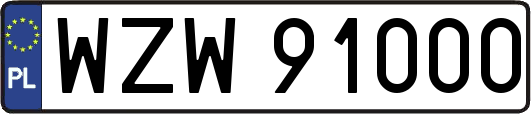 WZW91000
