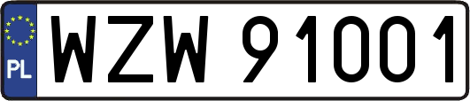 WZW91001