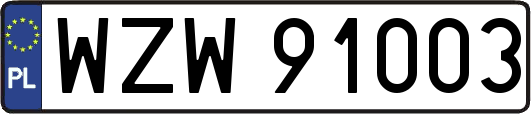 WZW91003