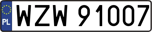 WZW91007