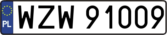 WZW91009
