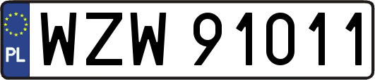 WZW91011