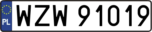 WZW91019