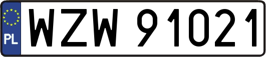 WZW91021