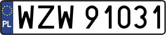 WZW91031