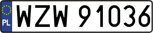 WZW91036