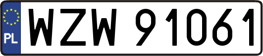 WZW91061