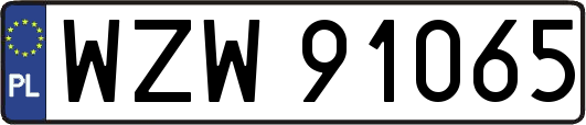 WZW91065
