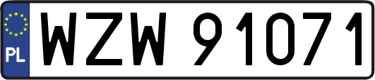 WZW91071