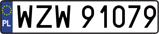 WZW91079