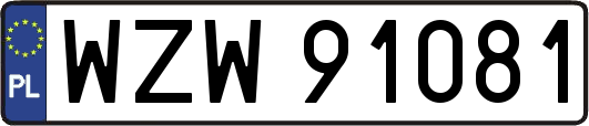 WZW91081