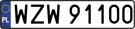 WZW91100