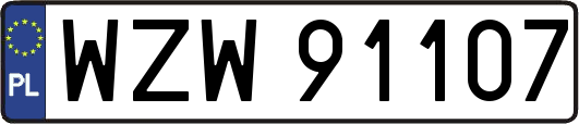 WZW91107