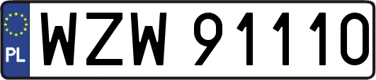 WZW91110