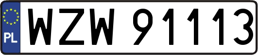 WZW91113