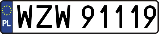 WZW91119