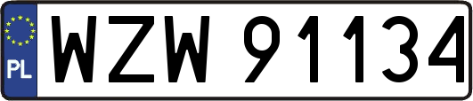 WZW91134