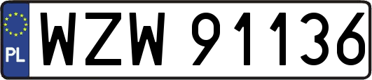 WZW91136