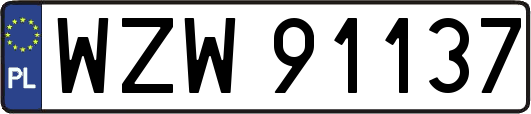 WZW91137