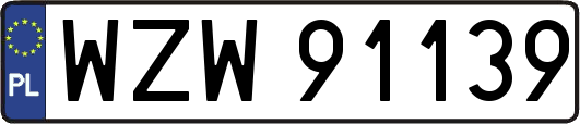 WZW91139