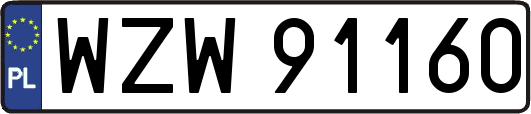 WZW91160