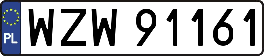 WZW91161