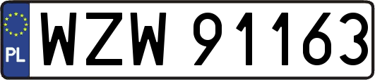 WZW91163