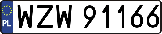 WZW91166