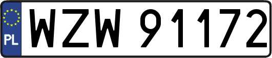 WZW91172