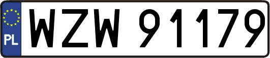 WZW91179