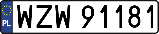 WZW91181